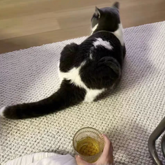 Classic Nordic-Style 3D Wilton Woven Carpet(Auckland)