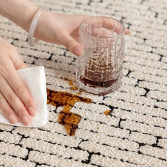 Outstanding Water Resistance! Premium Nordic-Style Waterproof Rug（Waterproof Carpet-02）