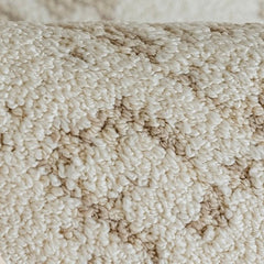 Outstanding Water Resistance! Premium Nordic-Style Waterproof Rug（Waterproof Carpet-22）