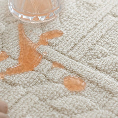 Outstanding Water Resistance! Premium Nordic-Style Waterproof Rug（Waterproof Carpet-33）