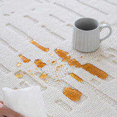 Outstanding Water Resistance! Premium Nordic-Style Waterproof Rug（Faustin）