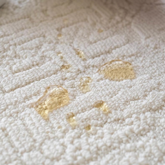Outstanding Water Resistance! Premium Nordic-Style Waterproof Rug（Faustin）