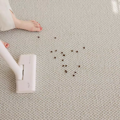 Classic Nordic-Style 3D Wilton Woven Carpet（Auckland）