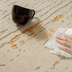 Outstanding Water Resistance! Premium Nordic-Style Waterproof Rug（Waterproof Carpet-09）