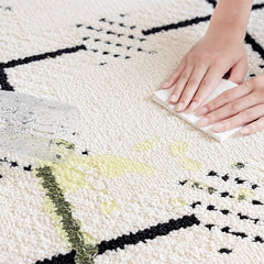 Outstanding Water Resistance! Premium Nordic-Style Waterproof Rug（Waterproof Carpet-18）