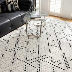 Outstanding Water Resistance! Premium Nordic-Style Waterproof Rug（Waterproof Carpet-14）