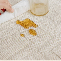Outstanding Water Resistance! Premium Nordic-Style Waterproof Rug（Waterproof Carpet-37）